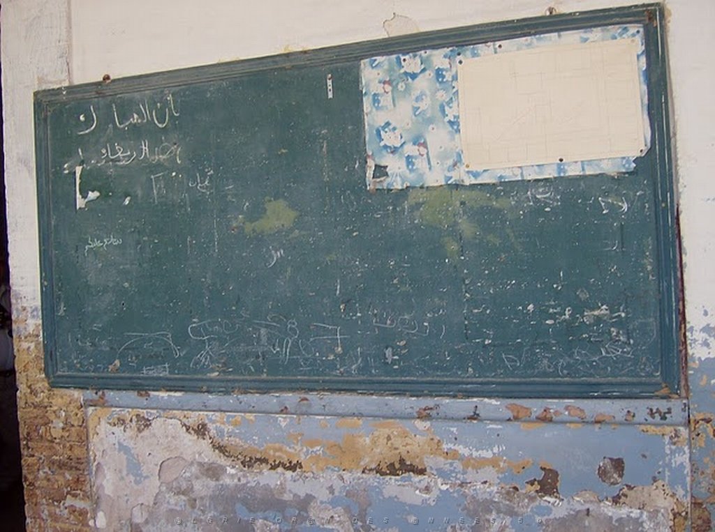 ORAN 2010  ECOLE SEDIMAN (10).jpg